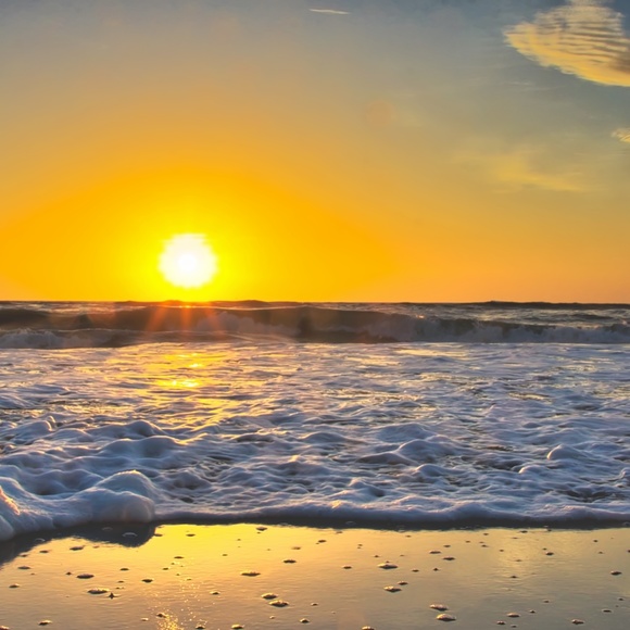 Meet your Posher, Stephanie - Picture 1 of 8